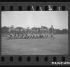2630002_ATH_2_7_FilmRoll_1_81.jpg
