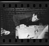 2630002_ATH_2_7_FilmRoll_8_2.jpg