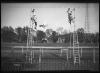 Circus