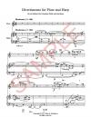 2021-2620189-029-Divertimento-F-H-notes-sample_Page_1.jpg