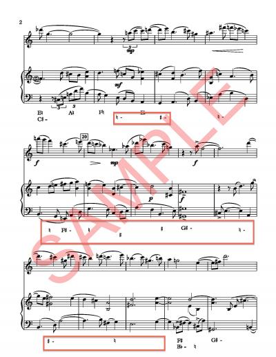 2021-2620189-029-Divertimento-F-H-notes-sample_Page_2 (1).jpg