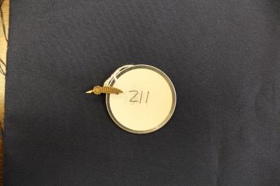 Artifact 211: Pin, Illoila, Feather-shaped with UI