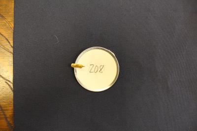 Artifact 208: Pin "Scribblers" Gold Pen Nib