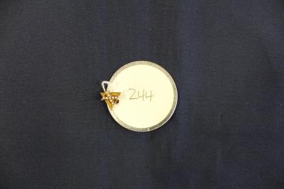 Artifact 244: Pin, Chi Delta [Delta Chi] with Pearls