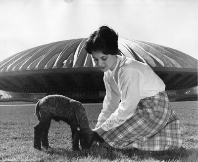 A young woman is seen caring for a baby goat, or sheep, in the field outside of Assembly Hall